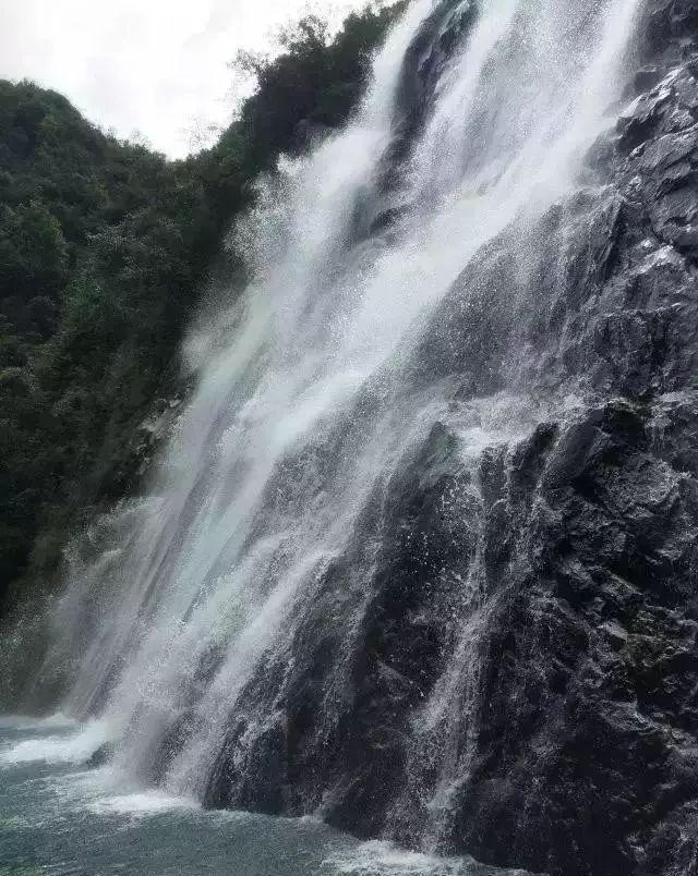 东昌府区“管家式”服务助推大型项目落地